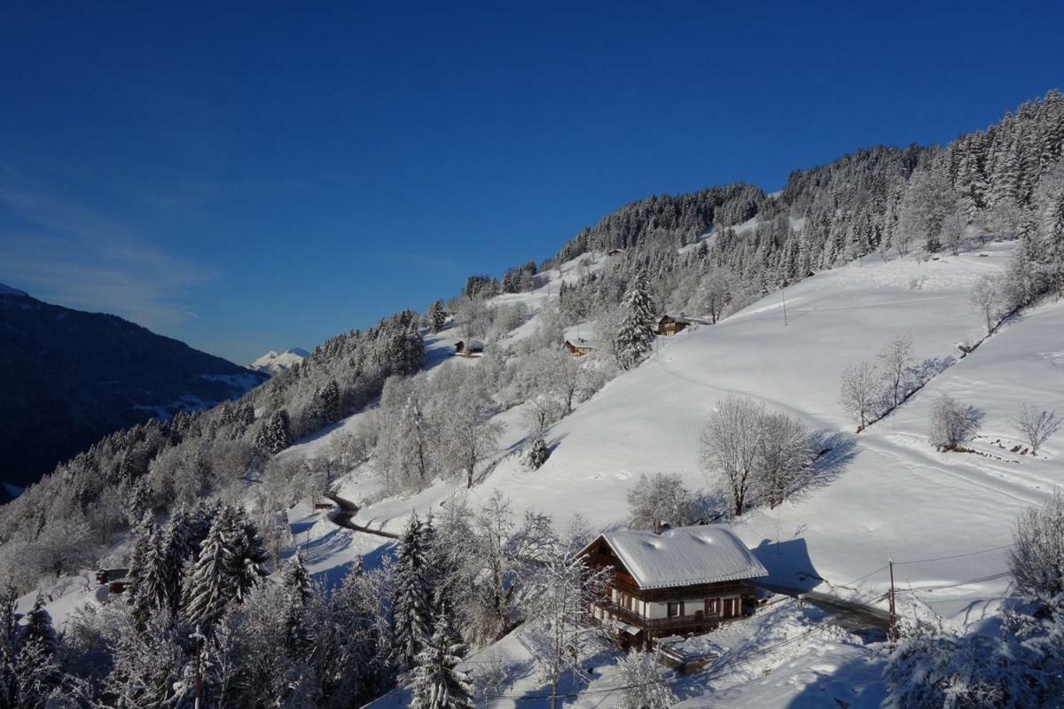 La Chambre Du Moulin Villard-sur-Doron Dış mekan fotoğraf